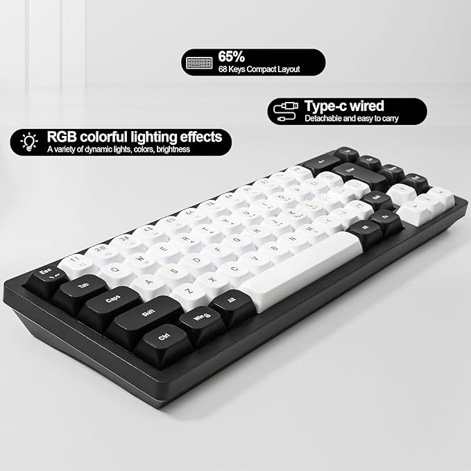 Wired RGB Gaming Membrance Keyboard. 65 Percent Mini Creamy LED Computer Keyboard .Small Ergonomic Clicky Teclado with ABS Backlit Unreplaceable Keycaps. for PC Laptop MAC Gamer. (WB1)