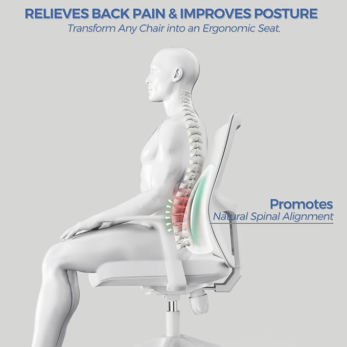 Lumbar Support Pillow for Office Chair & Car - All-Season Adaptive Memory Foam, Ergonomic Back Support for Lower Back Pain Relief, Stay-Put Non-Staining Silicone Grip (Gray)