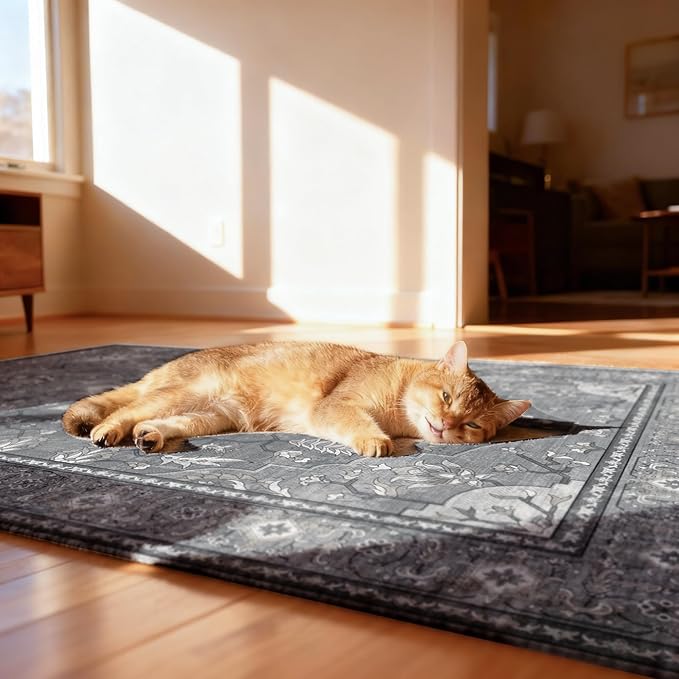 48"x60" Office Chair Mat for Hardwood, Under Desk Chair Mat for Home Office, Anti-Slip Office Rugs for Rolling Chairs, Floor Protector Washable Rugs Charcoal Gray