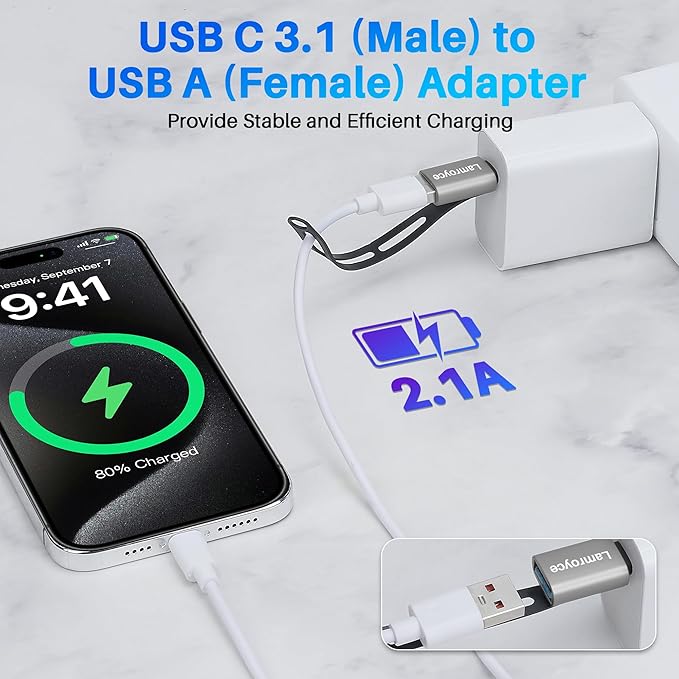 USB C 3.1 to USB 3.0 Adapter 4 Pack, Portable USB Female to USB C Male OTG Extender Converter, with Lanyard Keychain, Support fast charging and 5Gbps data transfer for iPhone17/16/15 Series,Galaxy S25