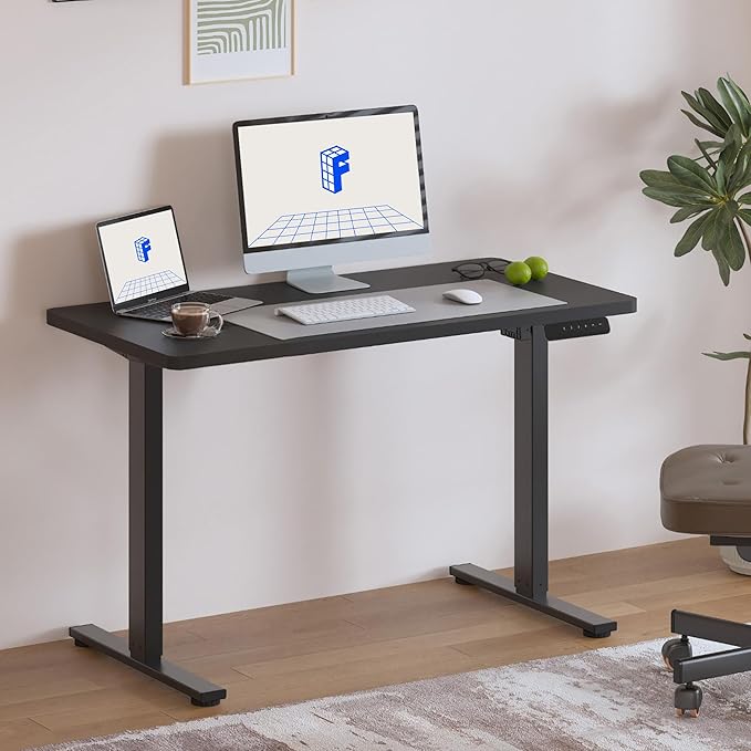 FLEXISPOT Electric Standing Desk, 40" x 24" One-Piece Desktop, Height Adjustable Computer Desk for Home Office, Black Frame & Black Top (One Package)