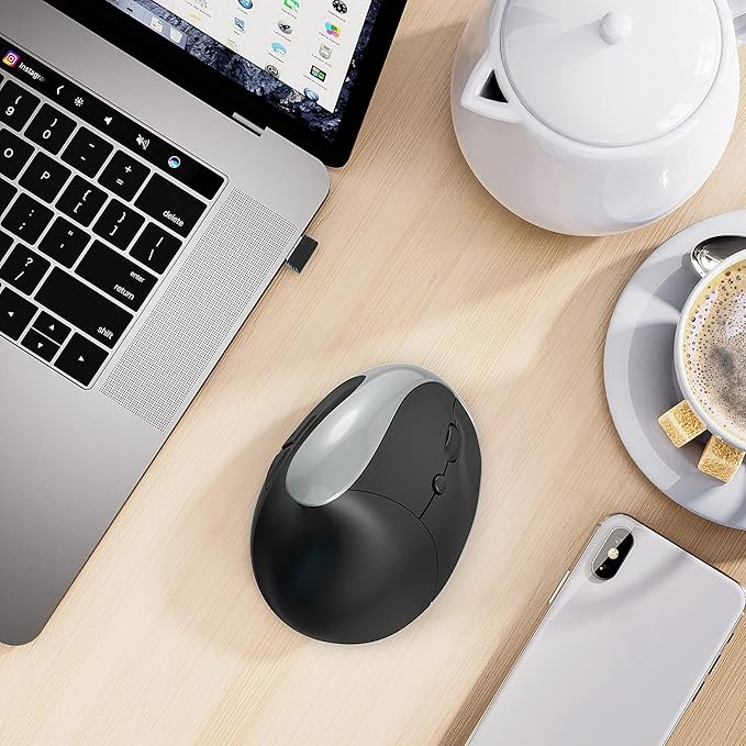 Ergonomic Mouse,Rechargeable Small Vertical Mouse with 6 Buttons Adjustable 800/1200/1600 DPI Purple Wireless Mouse for Laptop, Desktop, PC, MacBook (Gray)