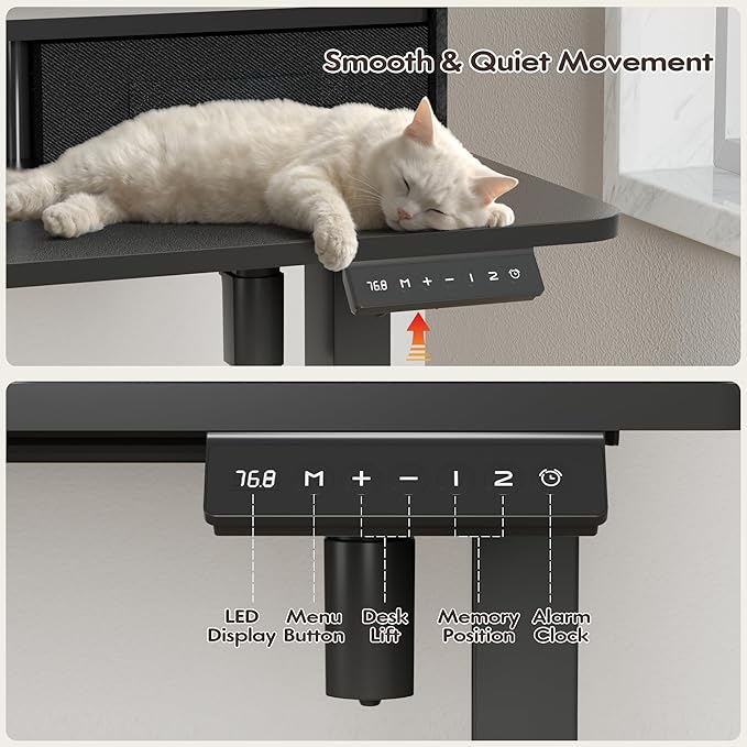 Furmax Electric Standing Desk with Drawers, Stand Up Desk with Storage Shelf Height Adjustable Computer Desk with Organizer for Home Office Ergonomic(Black, 63 Inch)