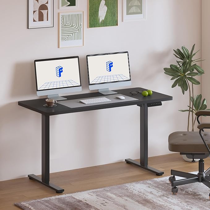 FLEXISPOT Standing Desk, 48" x 24" One-Piece Desktop, Height Adjustable Computer Desk for Home Office, White Frame & Black Top (One Package)