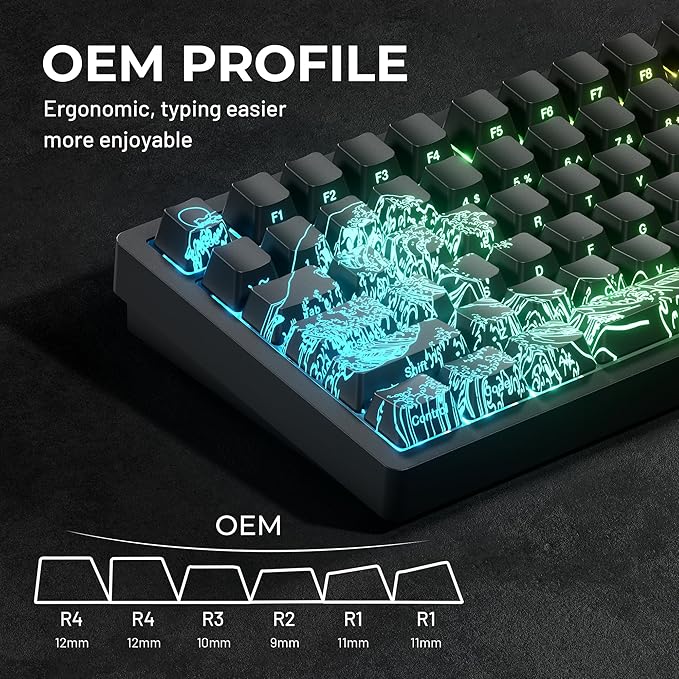 HITIME x XVX Kanagawa Keycaps 60 75 100 Percent - Shine Through Keycaps w/IMD Tech, for Mechanical Keyboards, Full 118 Key Set, OEM Profile, Lines Backlit, Side Printed - Black