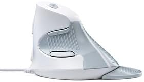 DELUX Wired Ergonomic Vertical Mouse, Vertical Mouse for Medium Hands, Removable Wrist Rest, Silent Click Ergo Mouse, Up to 4200 DPI, 6 Programmable Buttons, Compatible with Laptop/PC (M618XU-White)