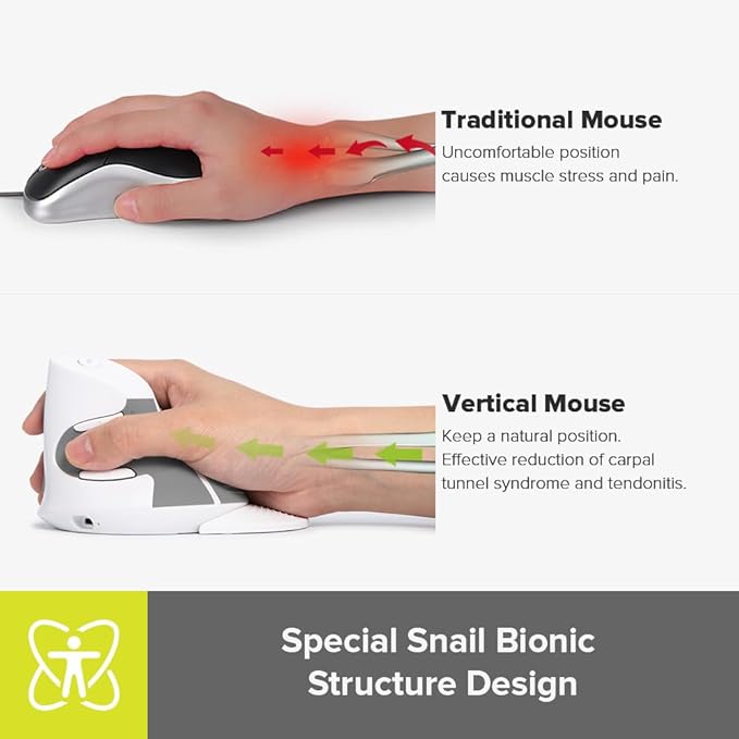 DELUX Ergonomic Vertical Mouse Wireless, Rechargeable Vertical Mouse, Bluetooth/2.4G Dual Mode, Slient Click, Removable Wrist Rest, 800/1200/1600DPI Levels, 6 Buttons, for Laptop/PC (M618G DB-White)