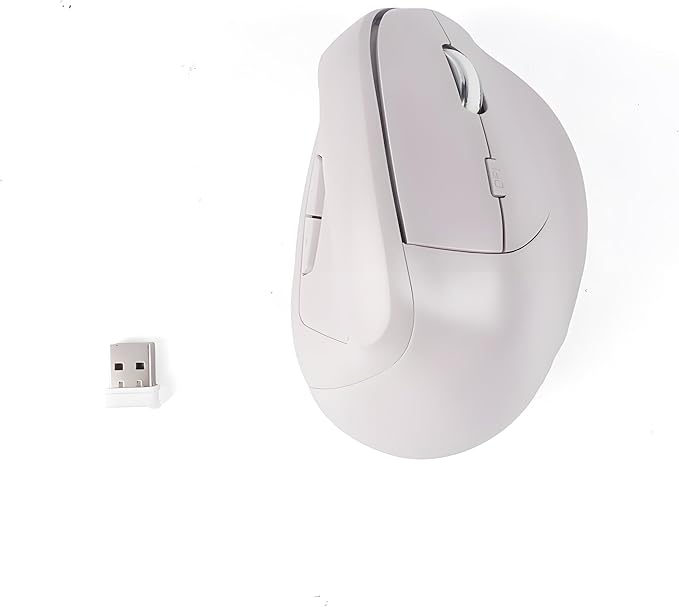Wireless Ergonomic Vertical Mouse - Silent Clicks, Comfortable Grip & Carpal Tunnel Relief - Ideal for Office Work, Home Use & Multi-Device Compatibility (Gray)