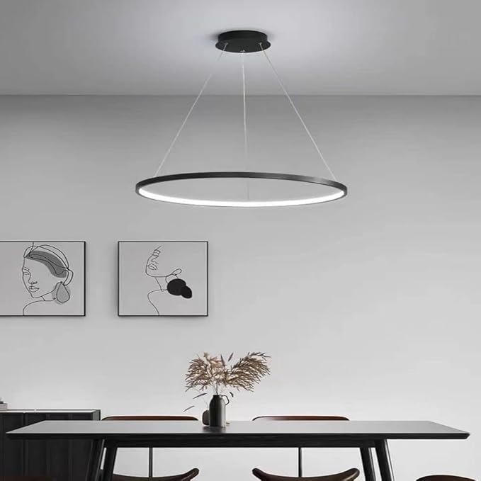 LightInTheBox Modern Pendant Light, 23.6" LED Ring Chandeliers Ceiling Light with Remote Control,Minimalist Halo Hanging Light Fixture Metal Acrylic White for Living Room Dinning Room Bedroom (Black)