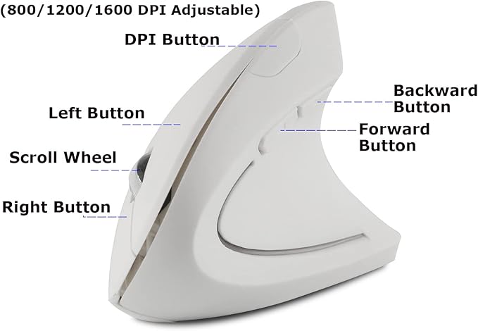 Wireless Mouse Ergonomic Vertical Ergo High Presion Optical Lightweight Cordless LED Light Cute Wireless Mice for Laptop Computer Mac Office Girl Boy Women Men Gift,800/1200/1600 DPI,6 Buttons
