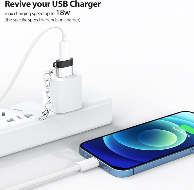 USB C Female to USB Male Adapter 10 Pack with Keychain, 18W Charging & 480Mbps Data Transfer Sync Converter, USBC Type C Connector for Laptop Car Charger Headphone Computer Hub and More