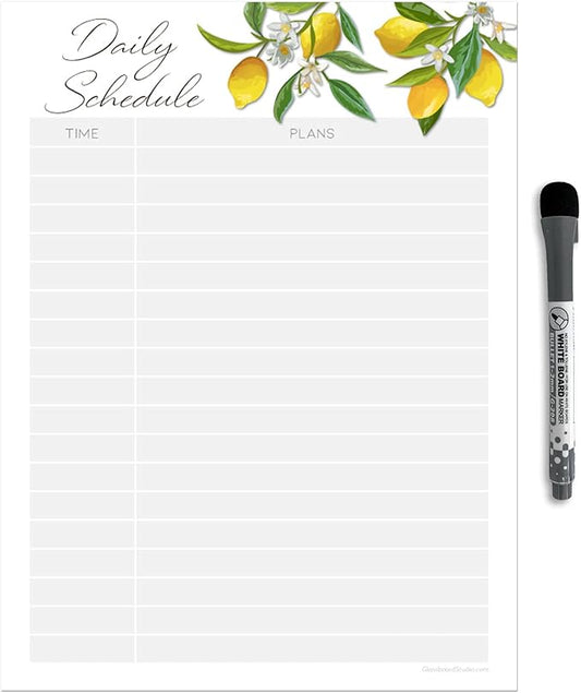 Dry Erase Daily Schedule Planner Sticker Decal by Glassboard Studio | Removable & Reusable | Magnetic Fine-Tip Marker Included (9 x 12 inches, Lemon Fresh)
