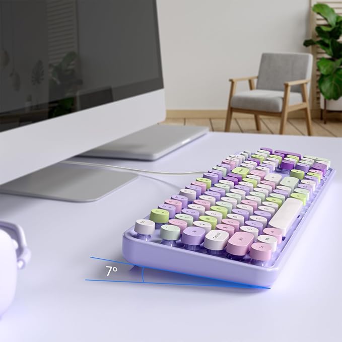 Computer Keyboard Wired, Plug and Play USB Retro Round Typewriter Keyboard, Full Size Wired Keyboard with Foldable Stands for Laptop and Office PC- Purple Colorful