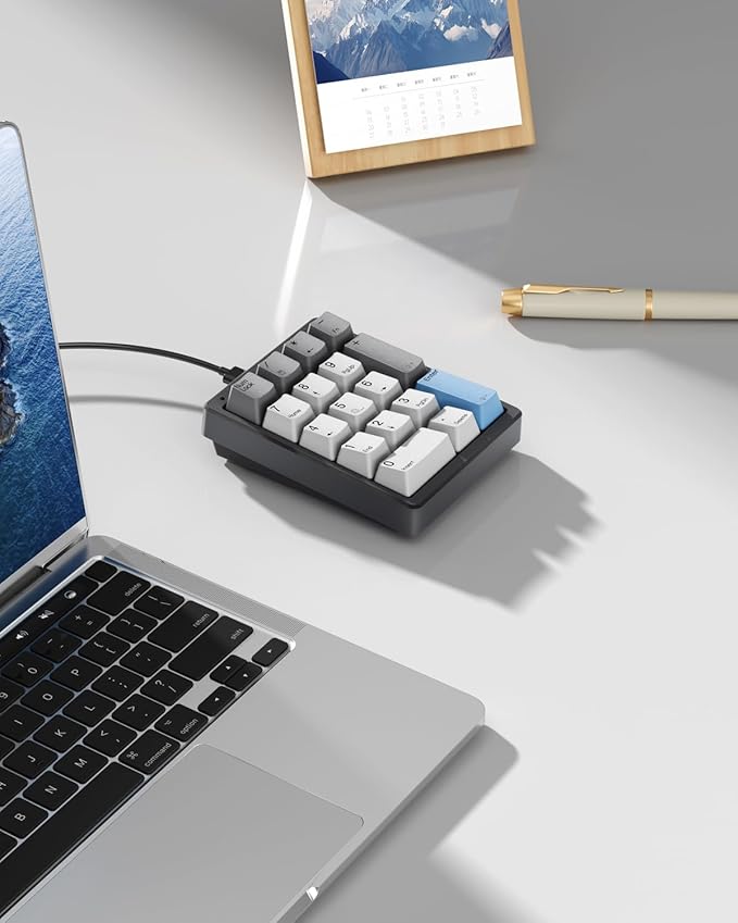 KN17 Wired Mechanical Number Pad- 17 Keys Hot Swappable Numpad with White Backlight& PBT Keycaps for Laptop PC Compact Keyboards (Black, Brown Switch)