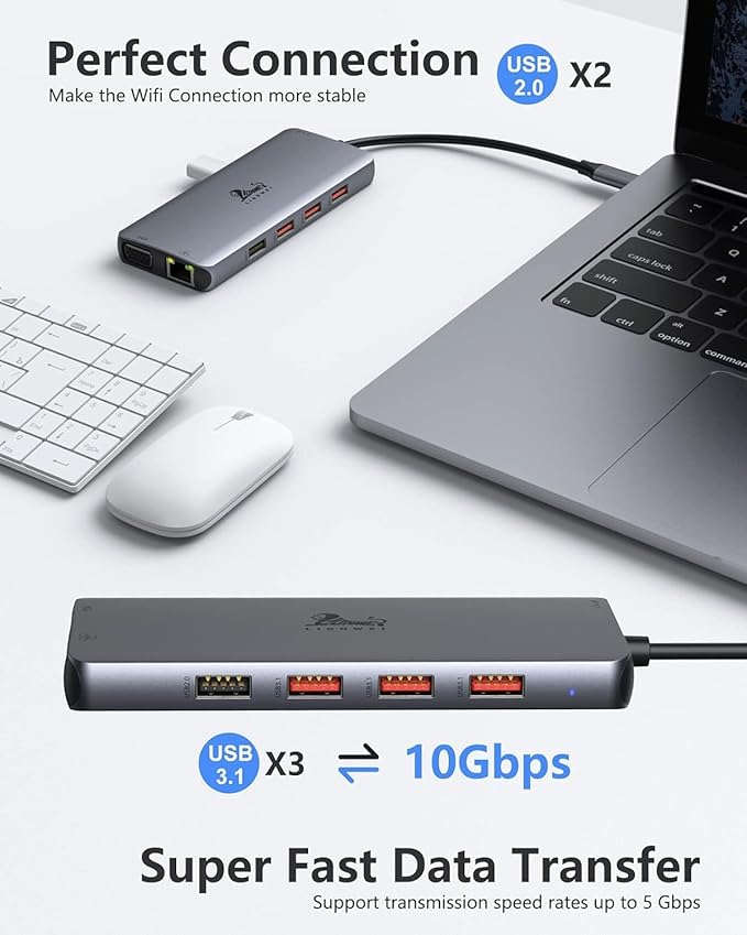 LIONWEI 11 in 1 USB C Laptop Docking Station Dual Monitor, Dual 4K HDMI+VGA, 3 * 10Gbps USB 3.1, PD, Ethernet, Audio/Mic, USB C Hub for Dell/Surface/HP/Lenovo Laptops