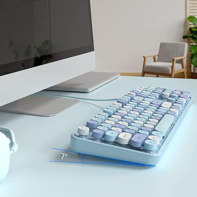 KNOWSQT Wired Computer Keyboard - Blue Colorful Retro Full Size Round Keycaps Plug and Play Typewriter Cute Keyboards for Windows, Laptop, PC, Desktop, Computer