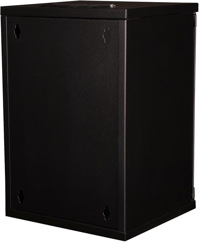 ROLINE 10 Inch Wall Housing 9 U, 312 x 300 W x D Black