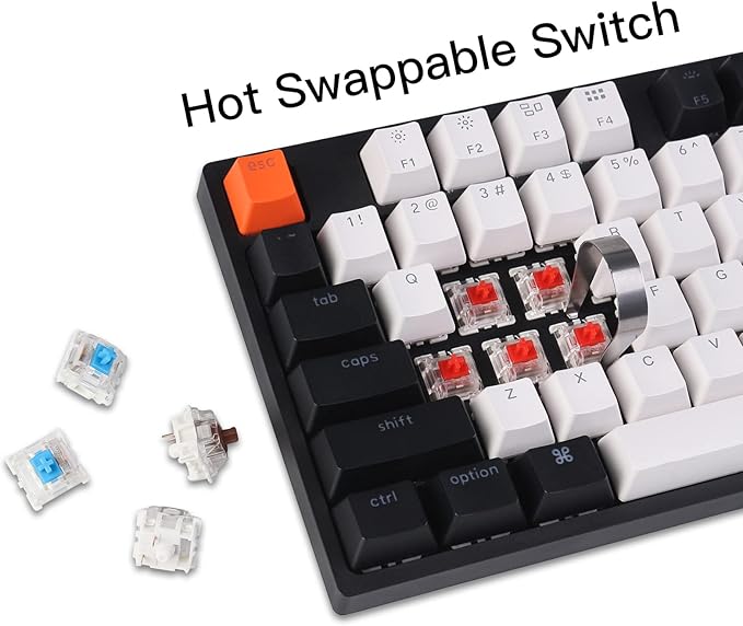 Keychron C2 Full Size Wired Mechanical Keyboard for Mac, Hot-swappable, Gateron G Pro Red Switch, RGB Backlight, 104 Keys ABS keycaps Gaming Keyboard for Windows, USB-C Type-C Braid Cable