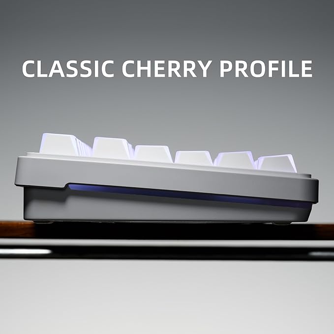 XVX White Shine Through Keycaps, PBT Keyboard Keycaps Cherry Profile, Custom Side Printed Keycap Sets Suitable for 60% 65% 75% 80% 100% Mechanical Keyboard