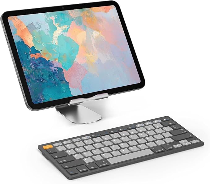OMOTON Bluetooth Keyboard Compatible with iPad 10th Generation, iPad 10.2 (9th/8th/7th), iPad Pro 13/12.9/11 inch, iPad Air/Mini and More Bluetooth Enabled Devices, Graphite Gray