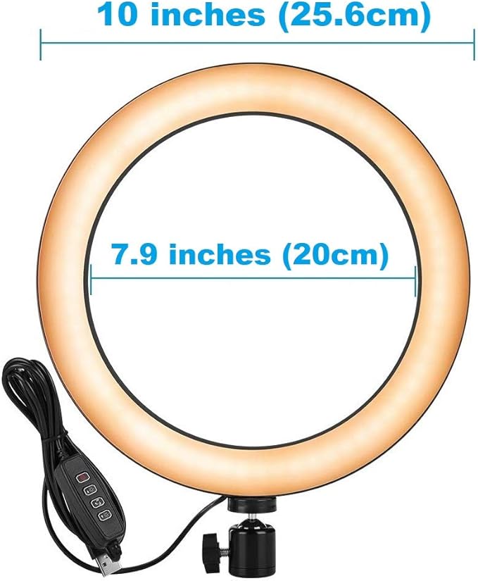 Webcam Light, Ring Light for Logitech Webcam C920,C922x,C930e,Brio 4K,C925e,MX Brio 4K,StreamCam,Brio 500,C615 1/4'' Screw Hole- 10'' Light (Without Tripod and Stand)