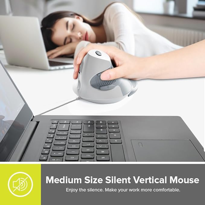 DELUX Wired Ergonomic Vertical Mouse, Vertical Mouse for Medium Hands, Removable Wrist Rest, Silent Click Ergo Mouse, Up to 4200 DPI, 6 Programmable Buttons, Compatible with Laptop/PC (M618XU-White)