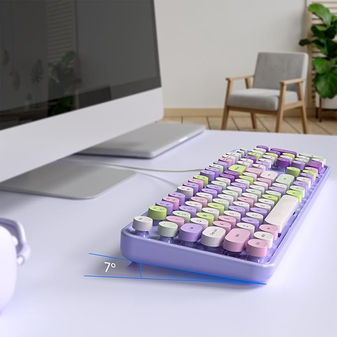 KNOWSQT Wired Computer Keyboard - Purple Colorful Retro Full Size Round Keycaps Plug and Play Typewriter Cute Keyboards for Windows, Laptop, PC, Desktop, Computer