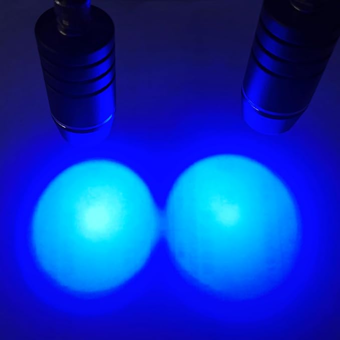 Light Head (Blue)