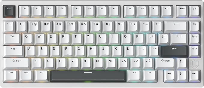 MG75PRO 81 Keys Wired Magnetic Switch Mechanical Keyboard, Hall Effect, 8KHZ/ARGB/CNC Aluminum, Gasket Structure Gaming Keyboard(Silver