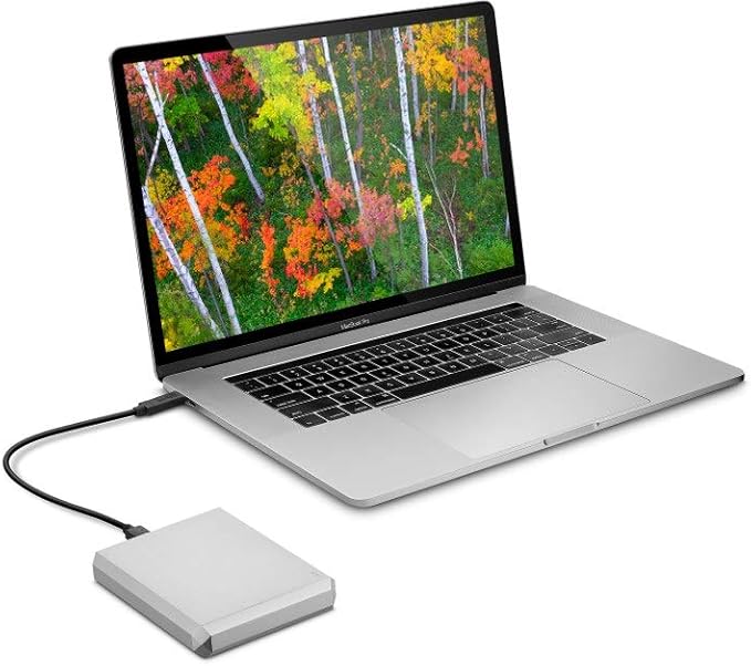 LaCie Mobile Drive, 4 TB , External Hard Drive HDD – Moon Silver, USB-C USB 3.0, With Rescue Services (STHG4000400)