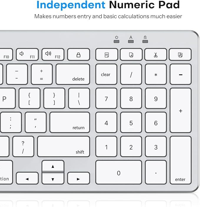 OMOTON Wired Keyboard Compatible with Mac, with Dual Interface (USB and Type-C), Numeric Keypad Compatible with MacBook Pro/Air, iMac, Mac mini/Pro Laptop, Silver