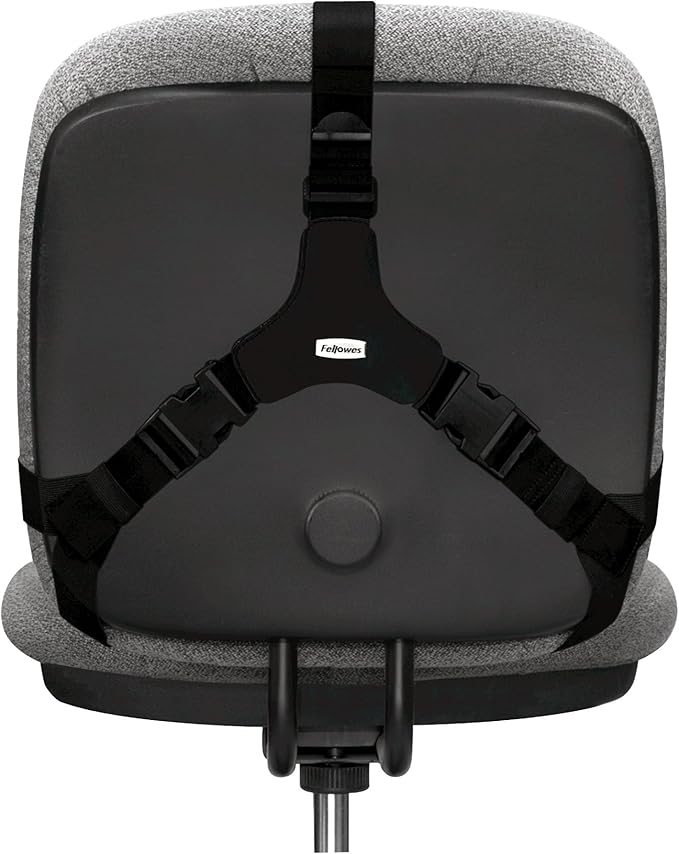 Fellowes Professional Series Back Support, Black (8037601) (Pack of 2)
