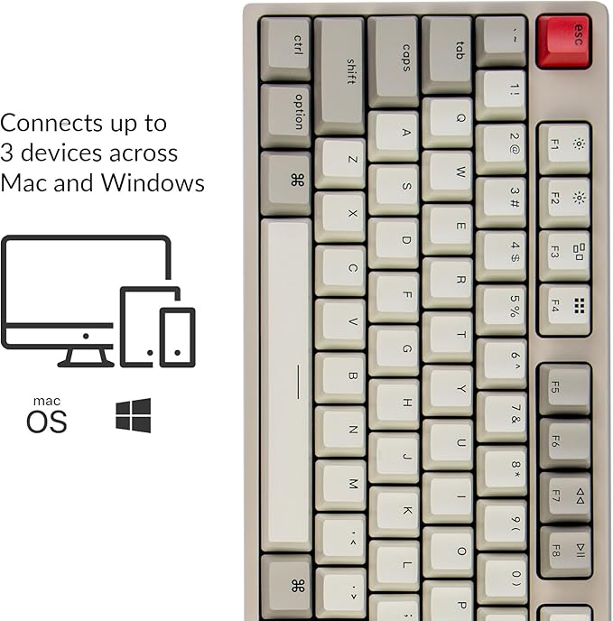 Keychron C2 Full Size Hot-swappable Wired Mechanical Keyboard Compatible with Mac, Keychron Brown Switch, 104 Keys ABS Retro Color Keycaps Gaming Keyboard for Windows, USB-C Type-C Braid Cable