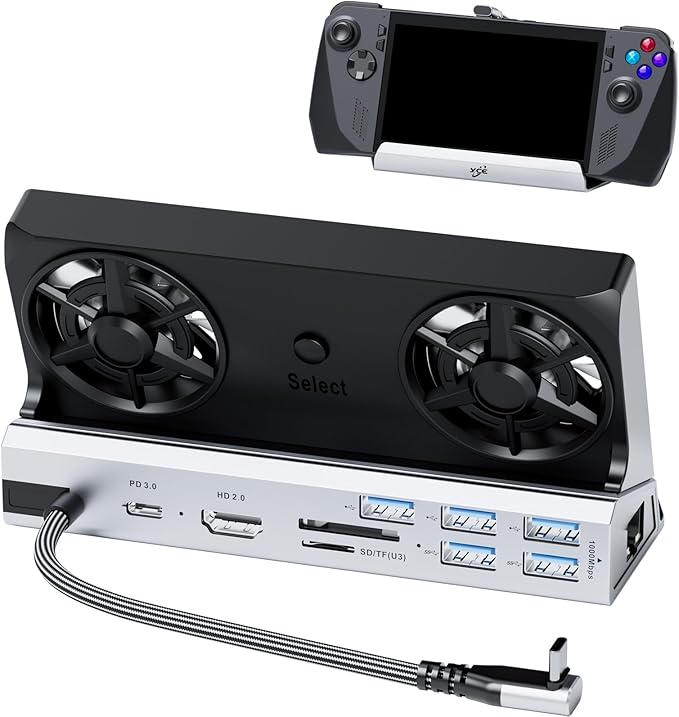 Dual Cooling Fans 13 in 1 Steam Deck Docking Station with 4K@60Hz 5 USB Ports,1000Mbps,SD/TF Slot,USB-C 100W PD, 40Gbps Adapter for Steam Deck/Rog Ally/Switch/Legion Go
