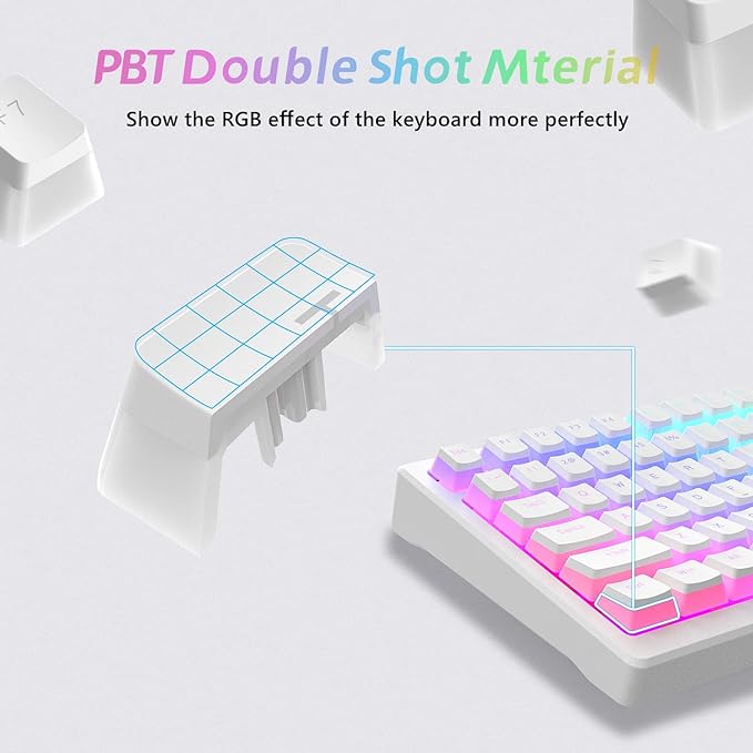 Womier Pudding Keycaps, PBT Shine Through Keycaps 165 Keys Set Custom Key caps Set OEM Profile, Universal Compatiability for 100%, 75%, 65%, 60% Keyboard-White