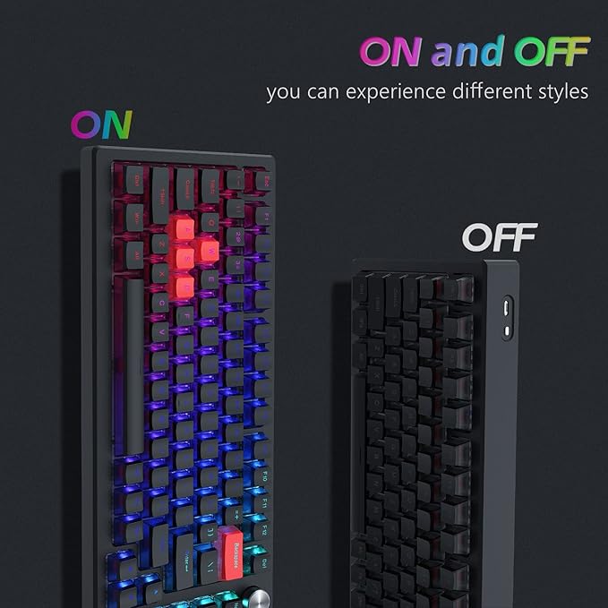 Womier Pudding Keycaps for Mechanical Keyboard 60 65 75 100 Percent - PBT Shine Through Keycaps,165 Keys Key Cap Set, OEM Profile Custom for Cherry MX Switches Mechanical Keyboard, Black/Orange