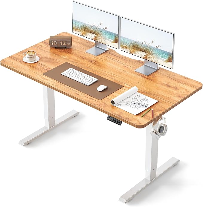 BANTI 55 × 24 Inches Standing Desk, Ergonomic, Electric Height Adjustable, Sit and Stand Up, Computer Office Desk with Splice Board, White Frame/Light Rustic Top