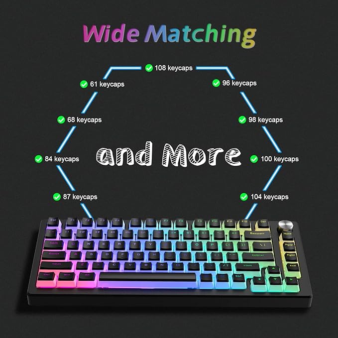 Womier Pudding Keycaps, PBT Shine Through Keycaps 165 Keys Set Custom Key caps Set OEM Profile, Universal Compatiability for 100%, 75%, 65%, 60% Keyboard-Black