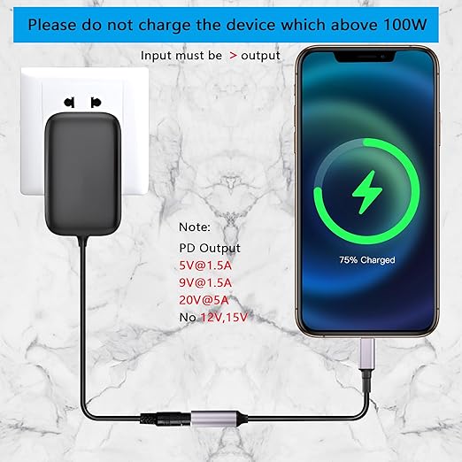 SinLoon PD 100W DC 7.4mm x 5.0mm Female(7.4 x 0.6mm) Input to USB Type C Male Power Charging Cable, 100W DC7450 to Type C Cable with PD Automatic Identification Chip,for Phones,Tablets,Laptops(Blue)