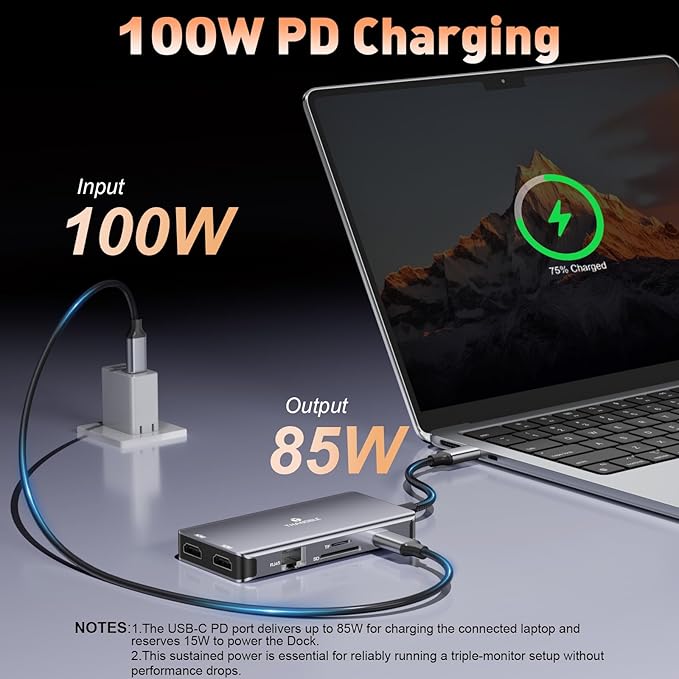 9 in 1 Docking Station Dual Monitor, USB C to Dual HDMI Adapter, 1000Mbps LAN, 100W PD, SD/TF 3*USB-A Data Port, HDMI Extended Display Laptop USB C Hub for HP/Dell/XPS/Lenovo/Laptop