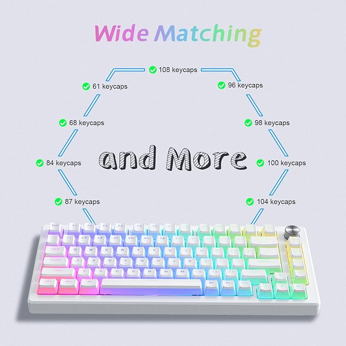 Womier Pudding Keycaps, PBT Shine Through Keycaps 165 Keys Set Custom Key caps Set OEM Profile, Universal Compatiability for 100%, 75%, 65%, 60% Keyboard-White