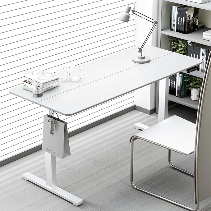 ERGOMAKER 43" Electric Standing Desk, Adjustable Height, Sit Stand Up Desk for Home Office & Computer Workstations, Memory Controller, White