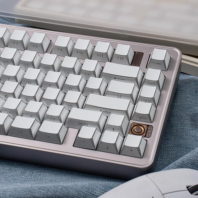 Sumgsn 137 Keys PBT Keycaps Shine Through Cherry Profile Keycaps Set Fit for 61/64/87/104/108 Cherry Mx Switches Mechanical Keyboard