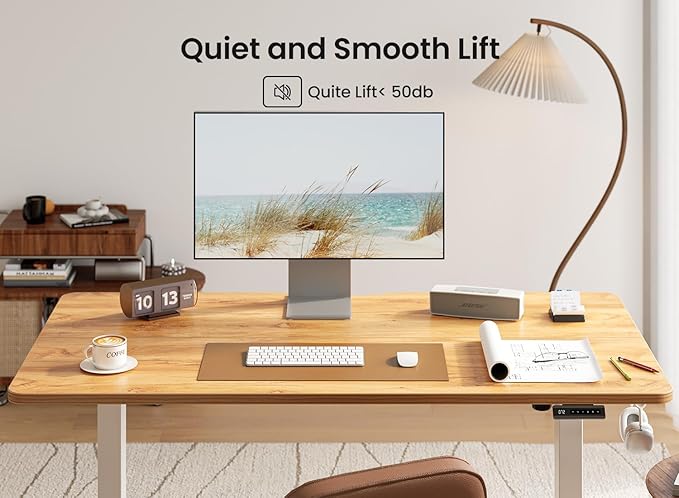 BANTI 55 × 24 Inches Standing Desk, Ergonomic, Electric Height Adjustable, Sit and Stand Up, Computer Office Desk with Splice Board, White Frame/Light Rustic Top