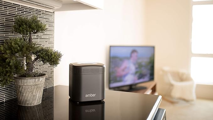 AmberPRO Personal Cloud Storage Device + AC2600 WiFi Router. Dual 2TB Hard Drives with RAID 1 or Optional 4TB with RAID 0. Plex and Home Assistant. iOS/Android/Windows/Mac Compatible. AM1211-2TB