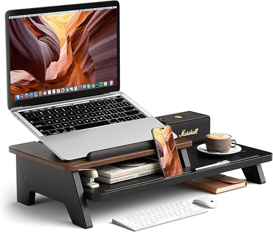 Adjustable Laptop Stand 2-Tier Riser Holder,Ventilated Cooling Ergonomic Computer Desk Organizer Accessories for 10-15.6" Notebook,Desktop Storage Compatible with MacBook,Dell,HP,Lenovo