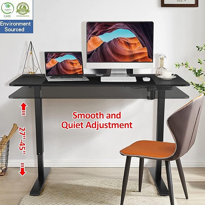 48'' X 24'' Standing Desk Adjustable Height, Ergonomic Home Office Computer Workstations with Wheels, Double Hooks, 4 Memory Preset, 27''-45'' Lifting Range Stand Up Desk(Black)