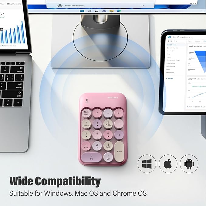 MOFII Cute Colorful Wireless Number Pad - 18 Keys, Portable 2.4 GHz with Stable Wireless Connectivity, 10-Key Financial Accounting Extension (Pink Colorful)