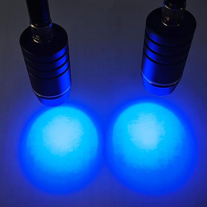 Light Head (Purple)