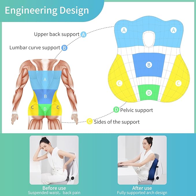 seeknow Lumbar Support for Chair Back Support for Couch Lumbar for Car Office Chair Back Cushion for Lower Back Pain Memory Foam Back Rest for Desk Chair, Recliner, Car Seats